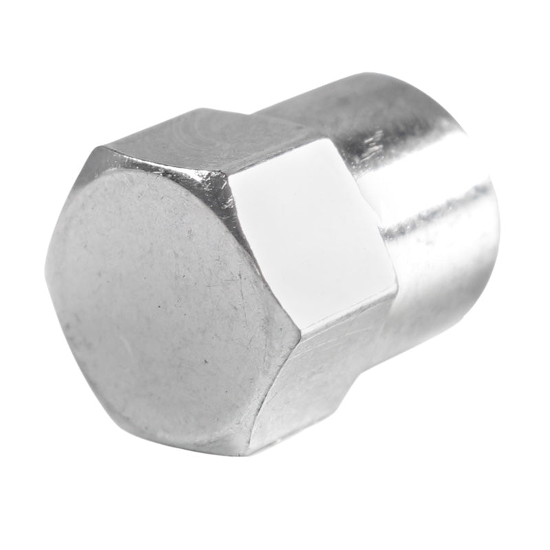 CHROME PLASTIC VALVE CAP 25PCS