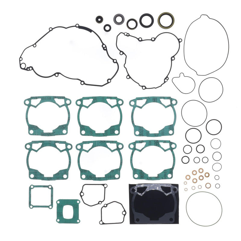 COMPLETE GASKET KIT WITH OIL SEALS EXC 250 2024