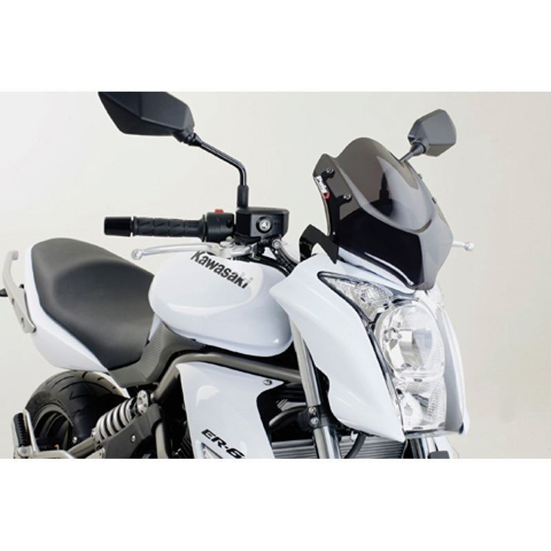 SPORT WS ER6N 09-10 D SMOKE