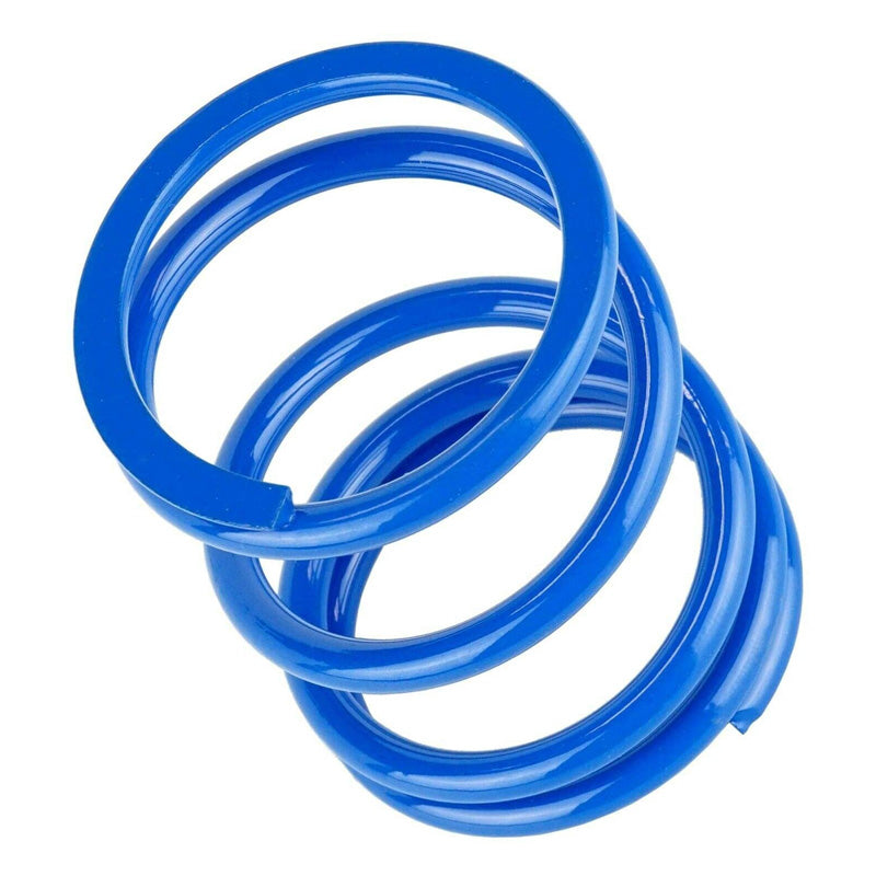 PRIMARY DRIVE CLUTCH SPRING