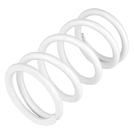 PRIMARY DRIVE CLUTCH SPRING