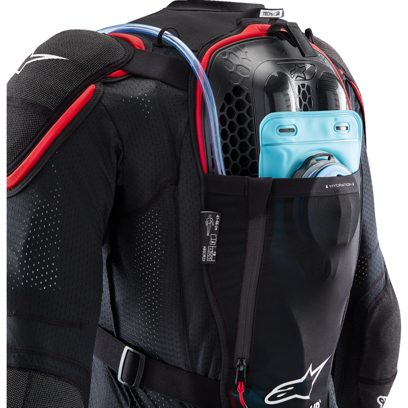 Back
