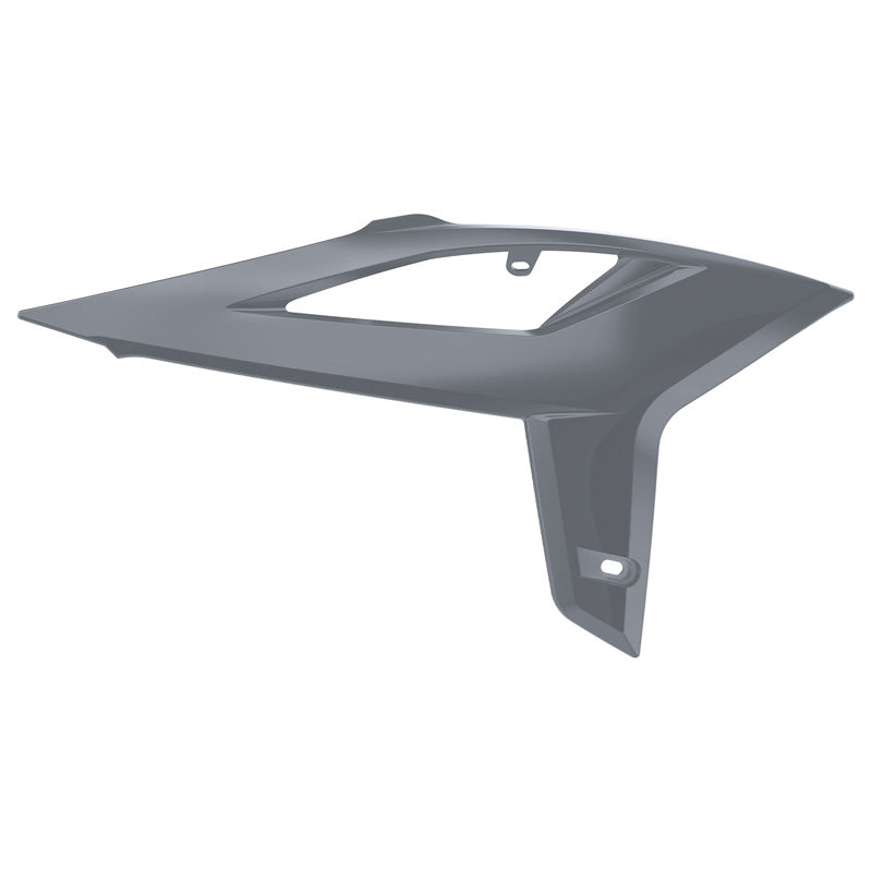 RAD SCO GREY BETA (20+