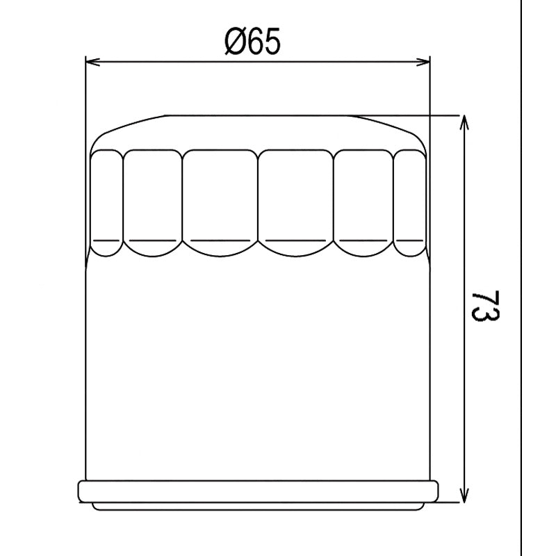 OIL FILTER COF203 (HF303)
