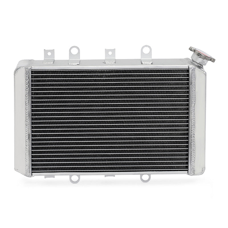 ATV RADIATOR YAMAHA