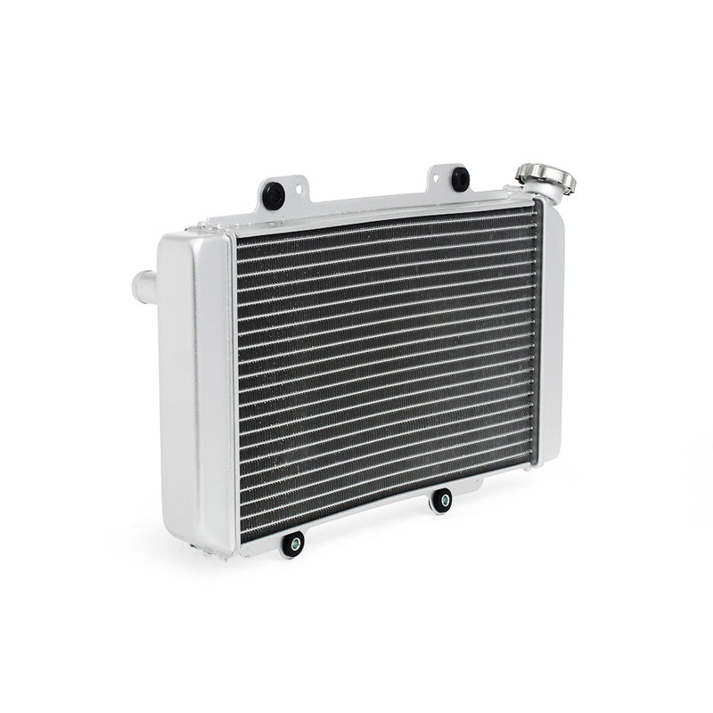 ATV RADIATOR YAMAHA