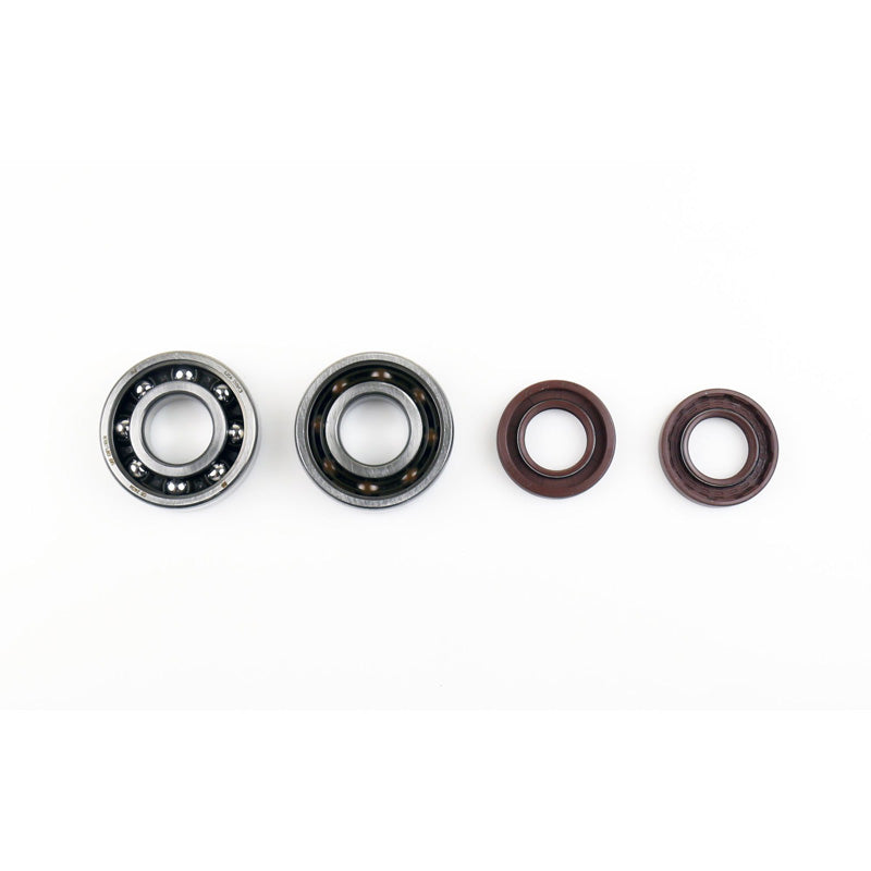 BEARING+SEAL CRANK KIT PREDATOR 00-02.