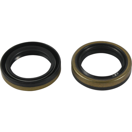 CRANKSHAFT BEARING KIT BETA EVO 2T 125-300 13-21