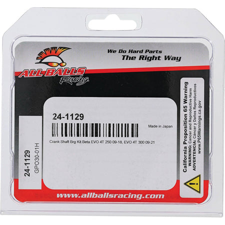 CRANKSHAFT BEARING KIT BETA EVO 4T 300 09-21
