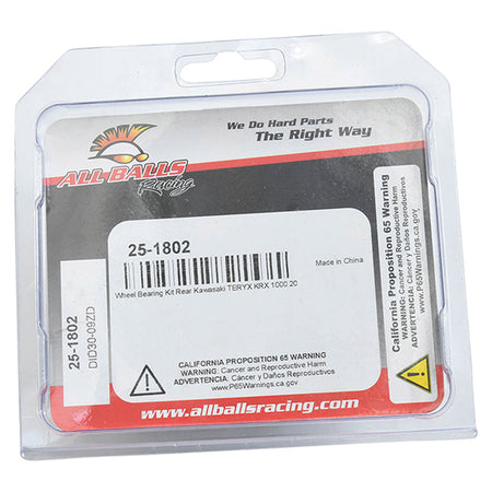 WHEEL BEARING/SEAL KIT RR TERYX 1000 20-21