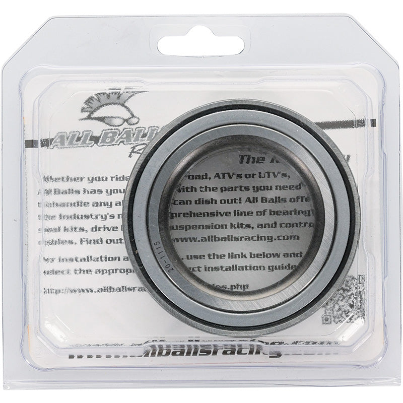 WHEEL BEARING/SEAL KIT RR WOLVERINE 21-22