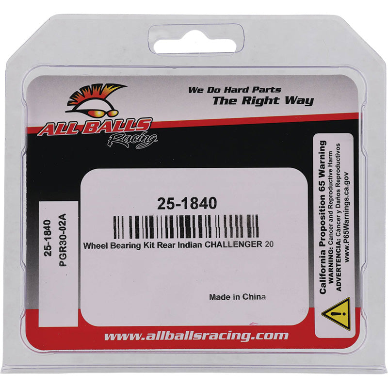 WHEEL BRG KIT  INDIAN CHALLENGER 108 20