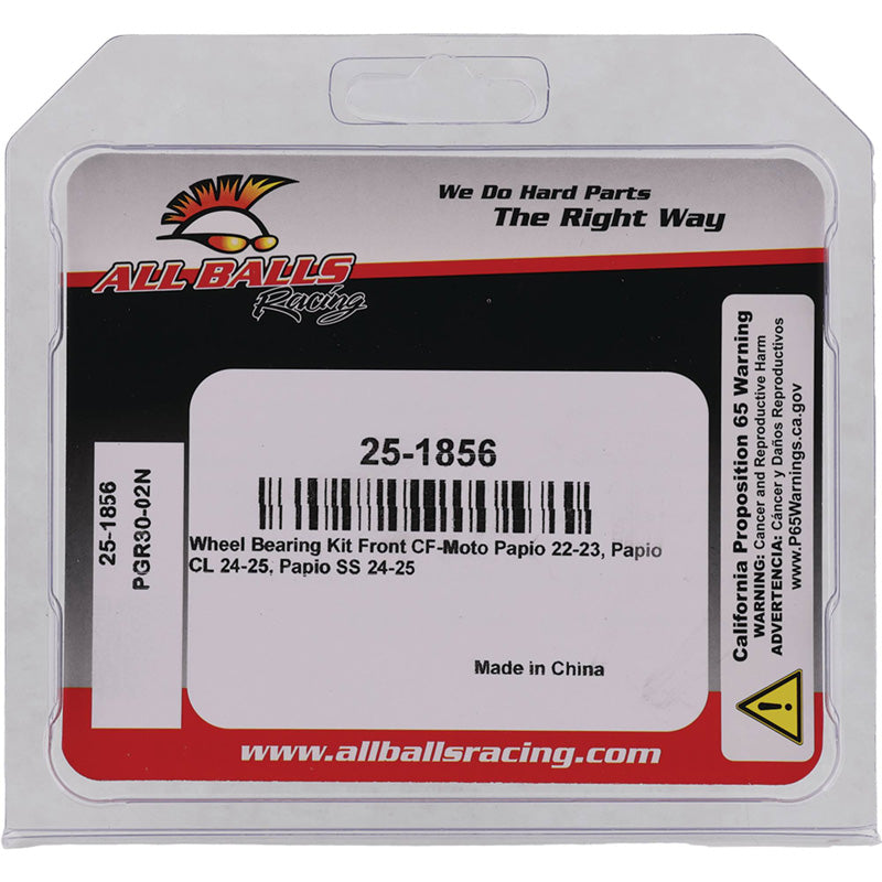 WHEEL BEARING KIT CF-MOTO PAPIO 22-23