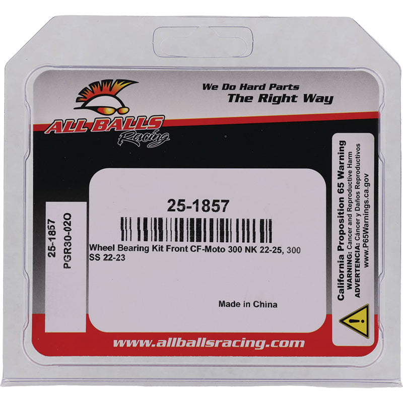 WHEEL BEARING KIT CF-MOTO 300 NK 22-25