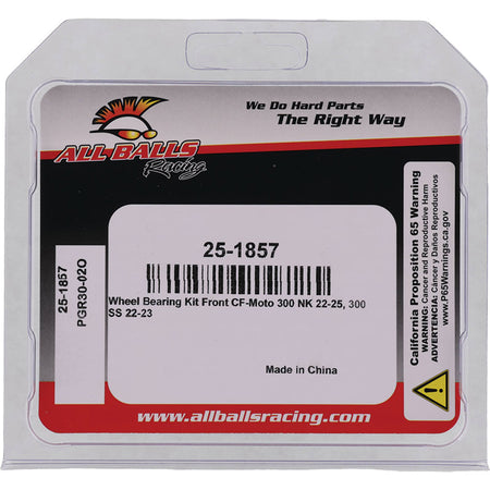 WHEEL BEARING KIT CF-MOTO 300 NK 22-25