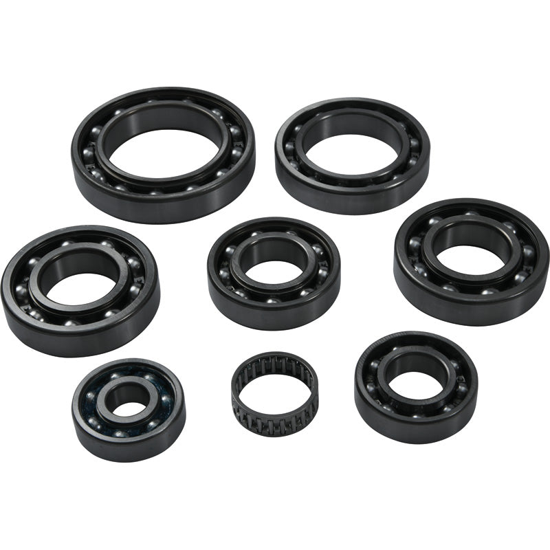 TRANSAXLE BEARING KIT POLARIS RS1 18-19