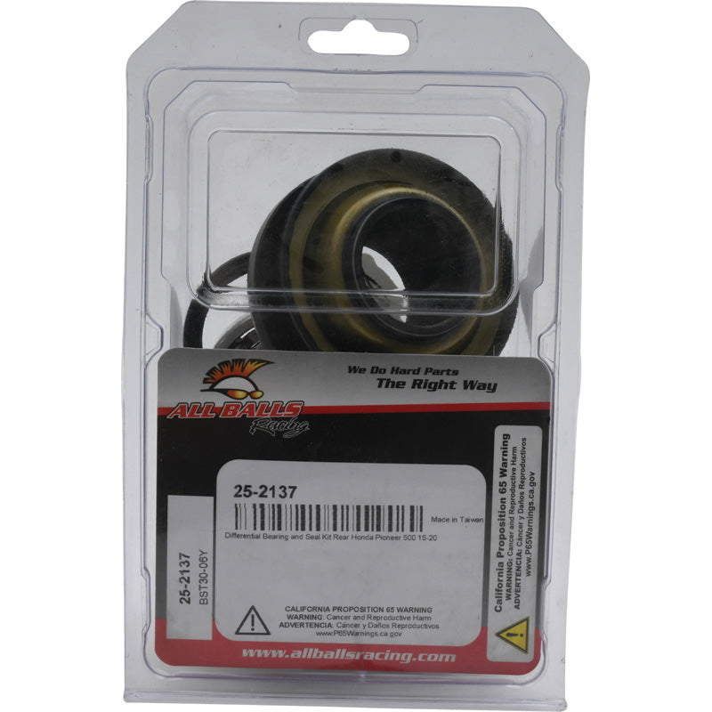 DIFFERENTIAL BEARING KIT SXS500 15-18