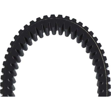 CVT BELT - ALL BALLS RACING 25-9019