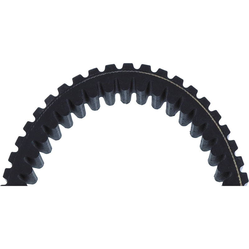 CVT BELT - ALL BALLS RACING 25-9021