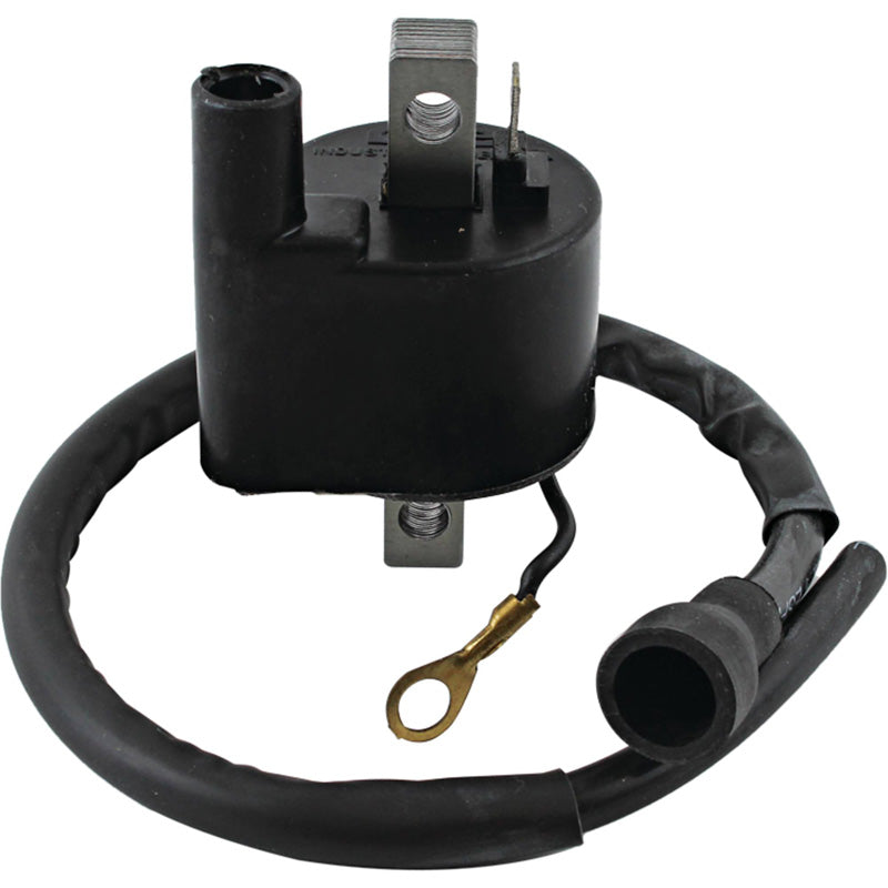 %IGNITION COIL POL 300 2X4 94-95