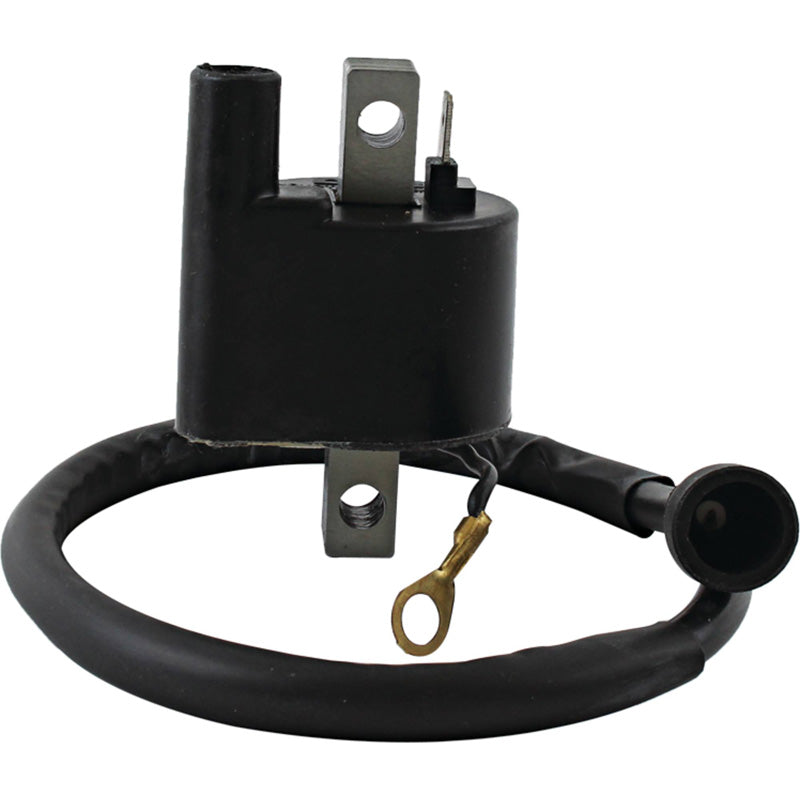 %IGNITION COIL POL 300 2X4 94-95