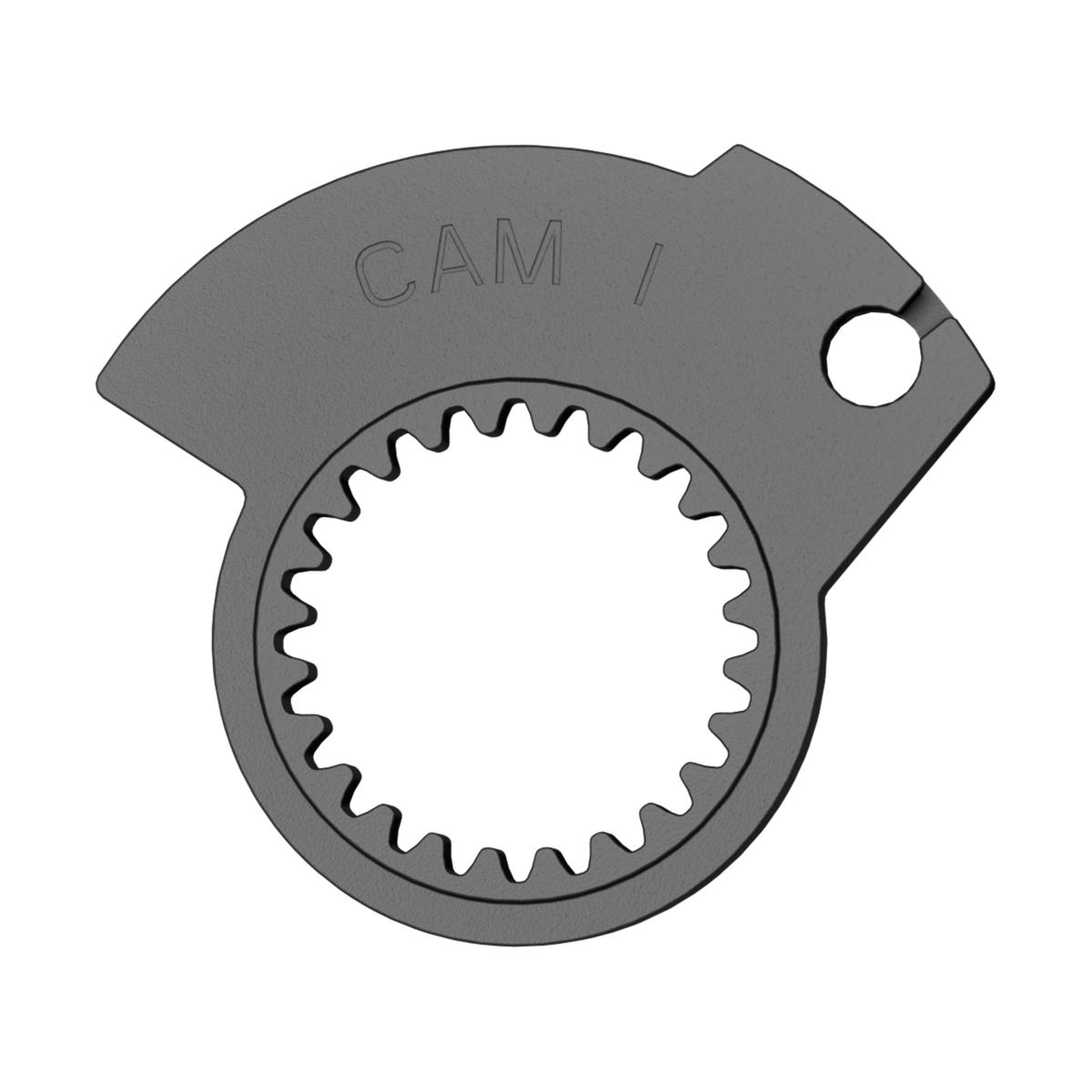 LOCK ON CAM I PK/10