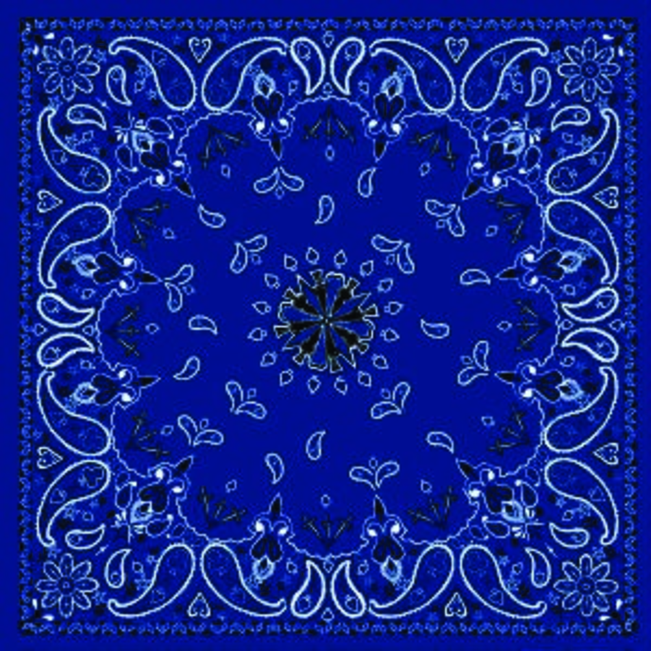 BANDANNA NAVY PAISLEY