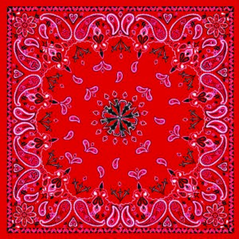 BANDANNA RED PAISLEY