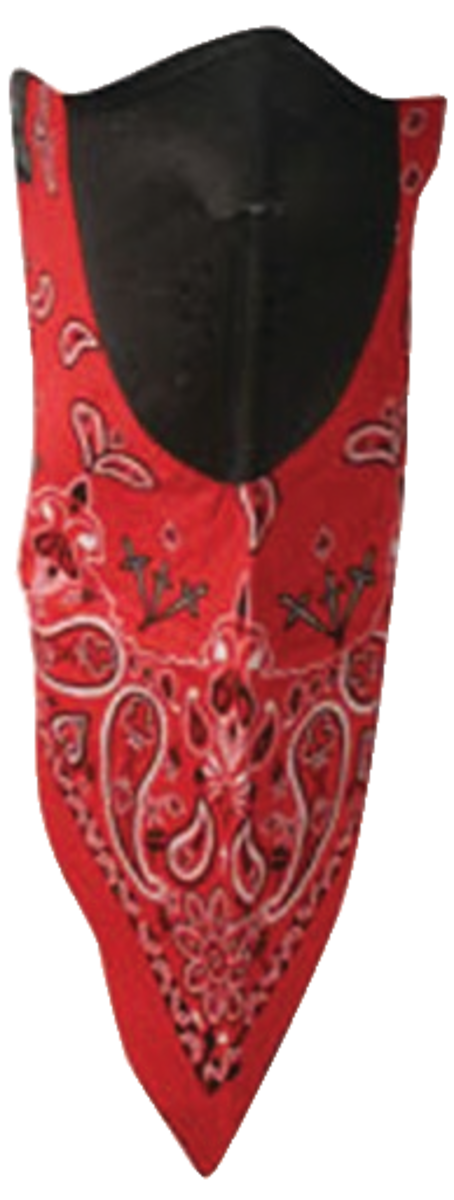 NEODANNA PAISLEY RED
