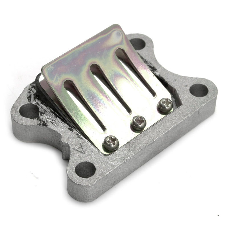 INTAKE REEDS CGN PEUGEOT SPEEDFIGHT/VIVACITY 2009
