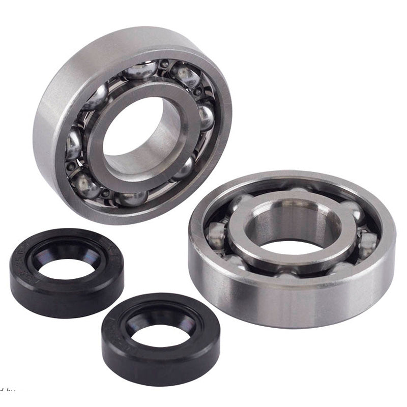 BEARING AND SEAL KIT MINARELLI (C3)