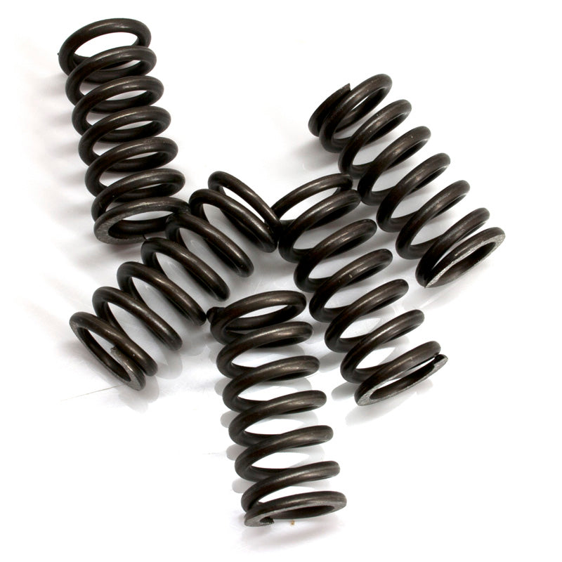 CLUTCH SPRINGS DERBI GPR.