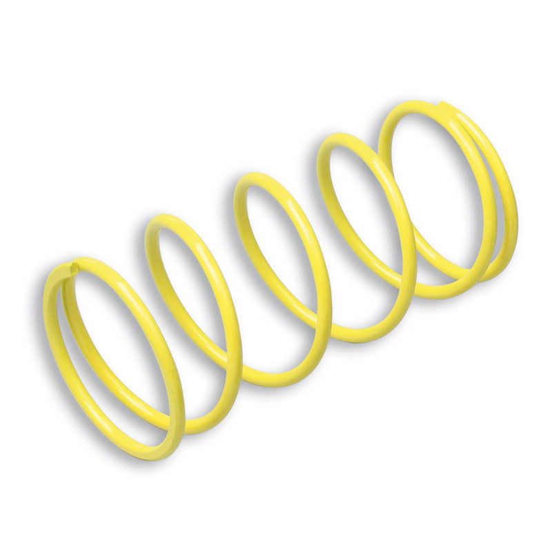 VARIATOR SPRING SUPER REINFORCED BW'S NEXT 02-09.