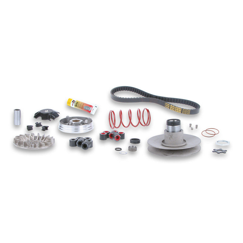 OVER RANGE CLUTCH SET MINARELLI ENGINE