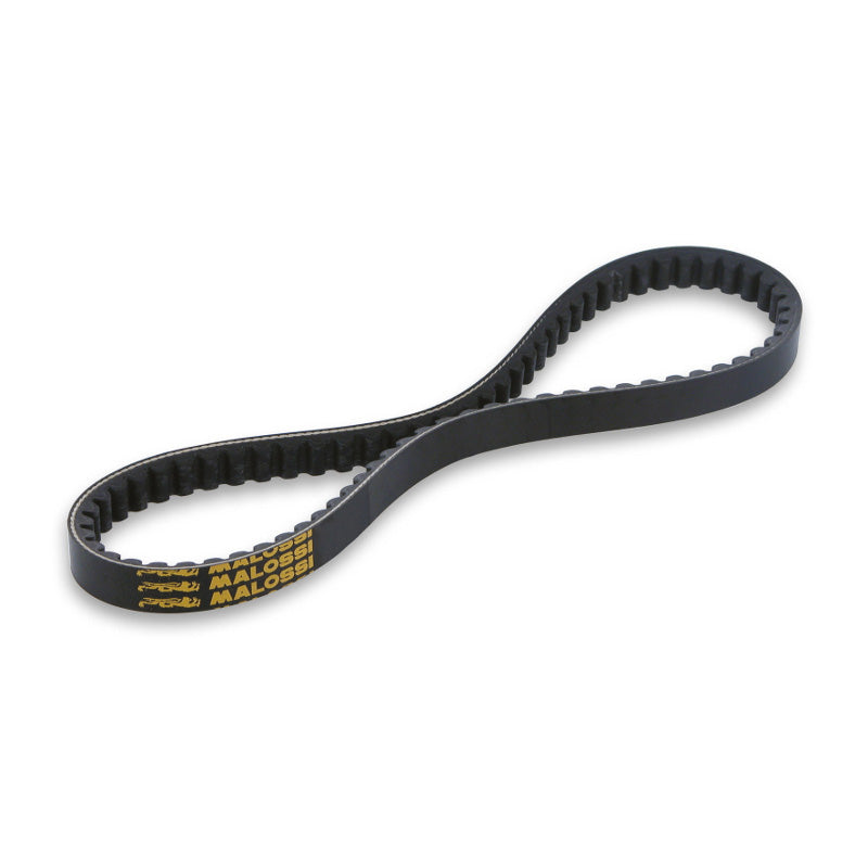 SPECIAL BELT 16X8X751MM
