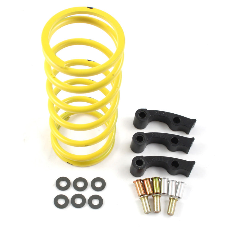 DALTON CLUTCH KIT MAVERICK 1000