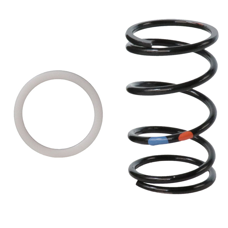 CLUTCH KIT RIDGE 24-25