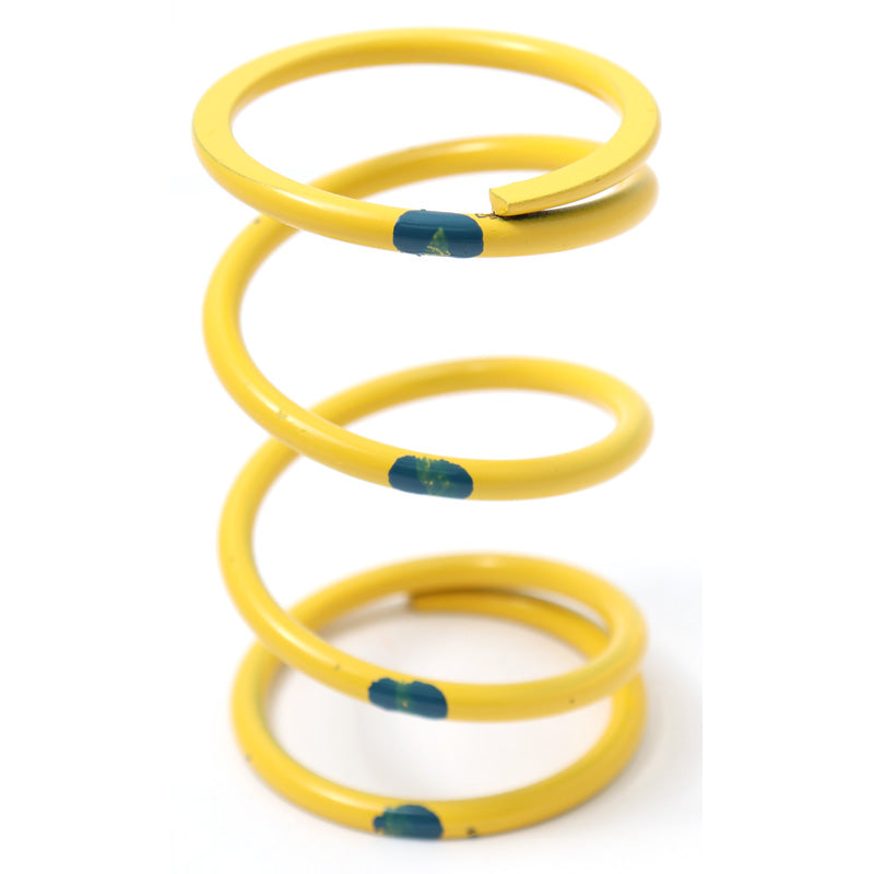 PRIMARY SPRING YELLOW/BLUE