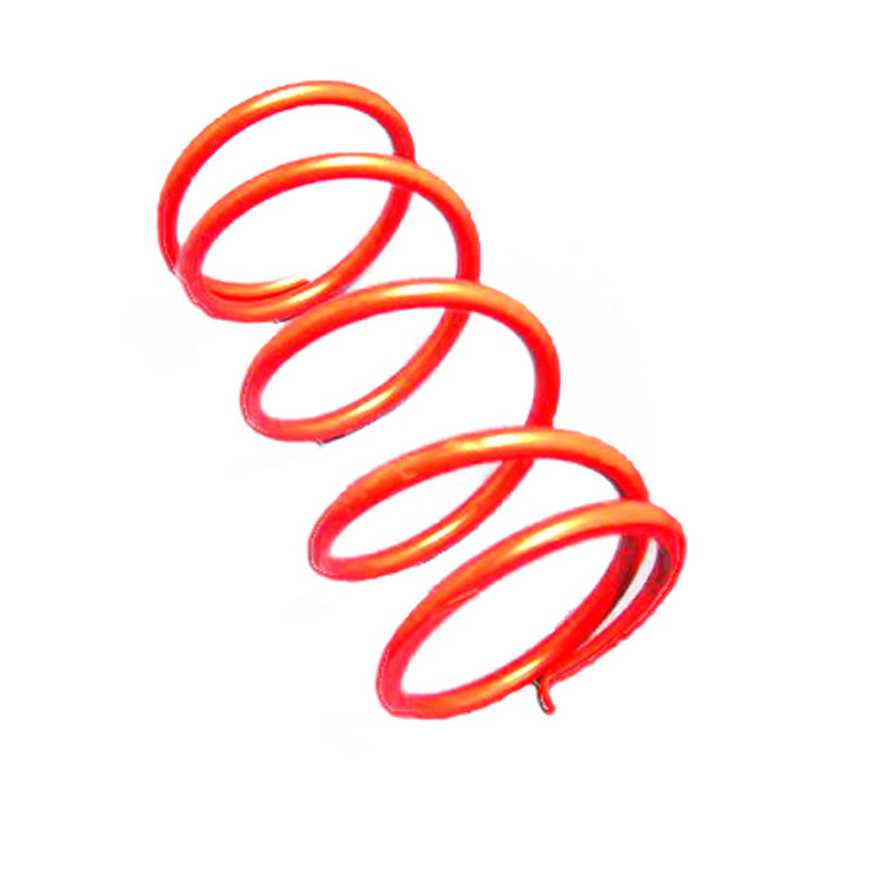 SECONDARY CLUTCH SPRINGS FOR SKI DOO DPSS-R