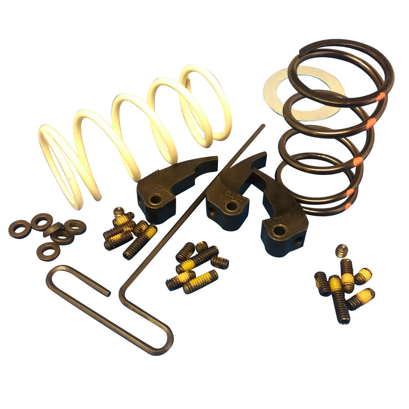 CLUTCH KIT DALTON WILDCAT 700 14+
