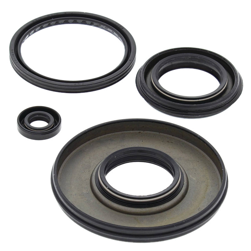 *OIL SEAL KIT PHAZER 480 (84-90)