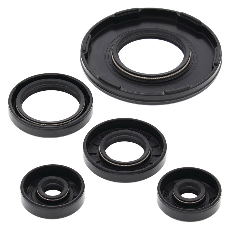 OIL SEAL KIT SKI-DOO 500/670 (95-00)