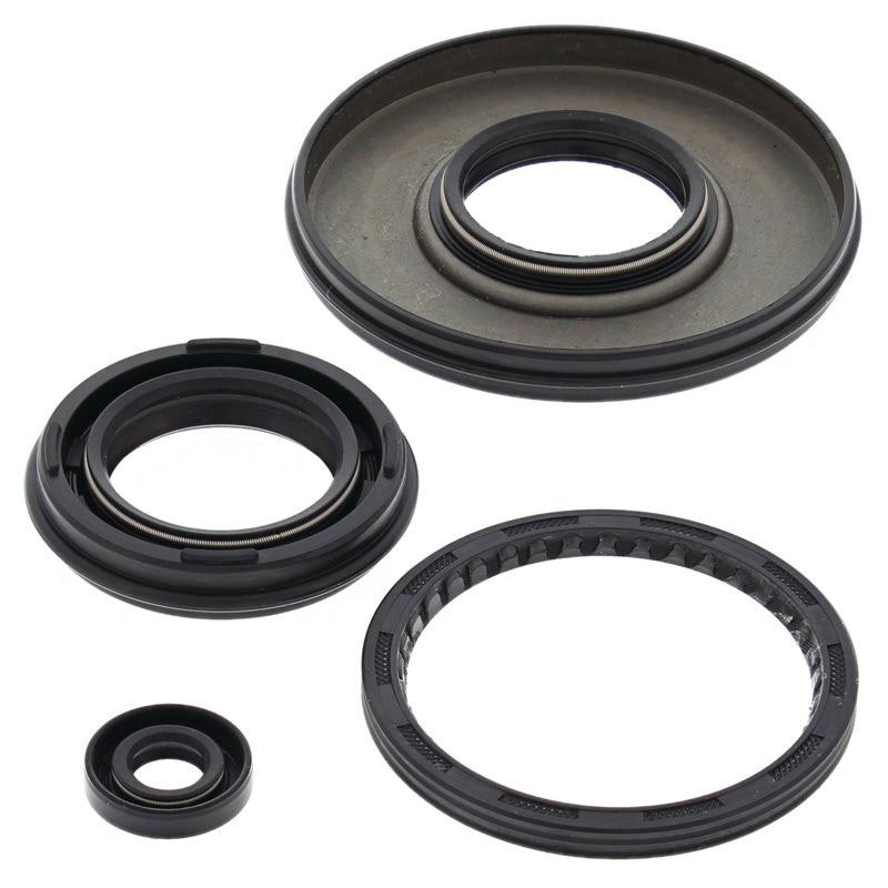OIL SEAL KIT PHAZER 480/500 (91-01)