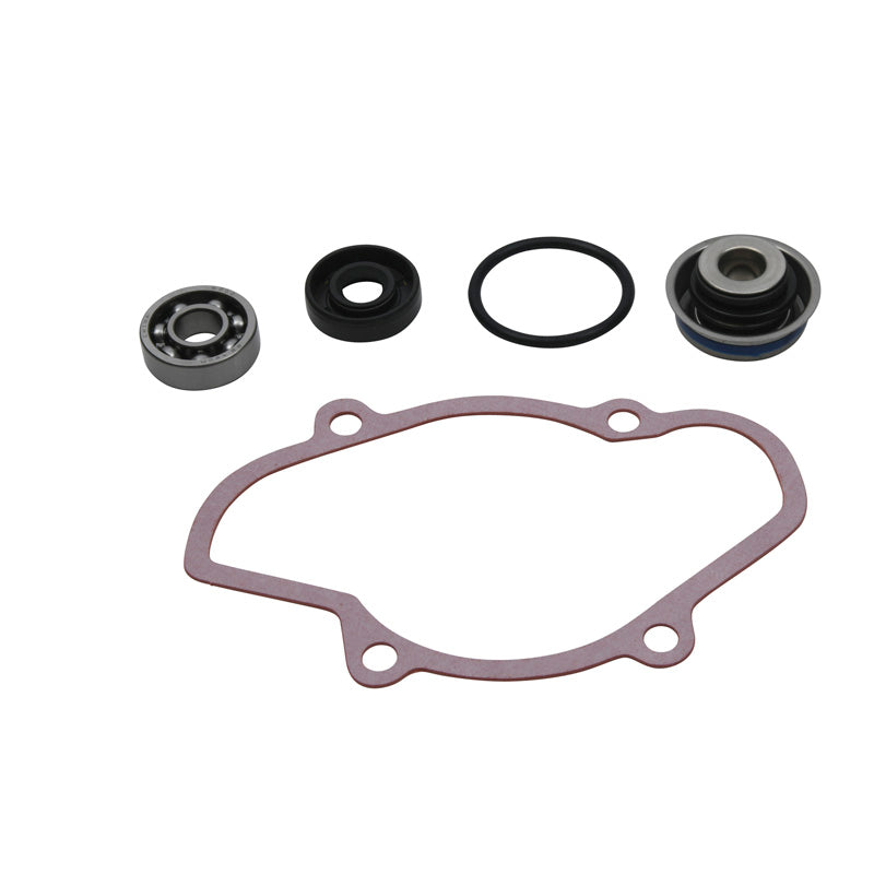 WATER PUMP REBUILD KIT SKI-DOO 600-800