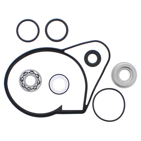 WATER PUMP REBUILD KIT YAMAHA APEX EFI 10-17