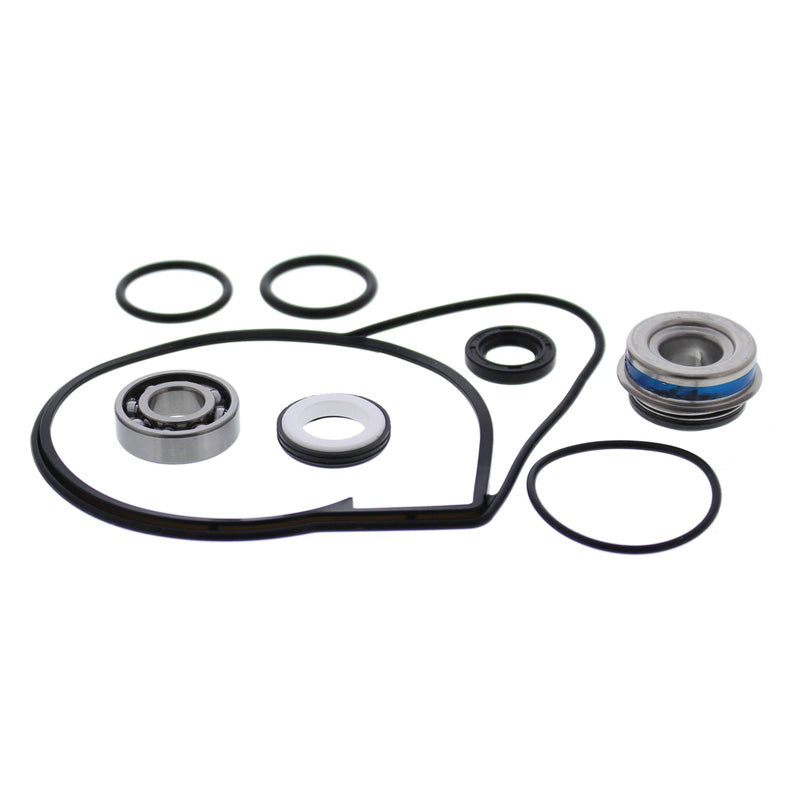 WATER PUMP REBUILD KIT YAMAHA APEX EFI 10-17