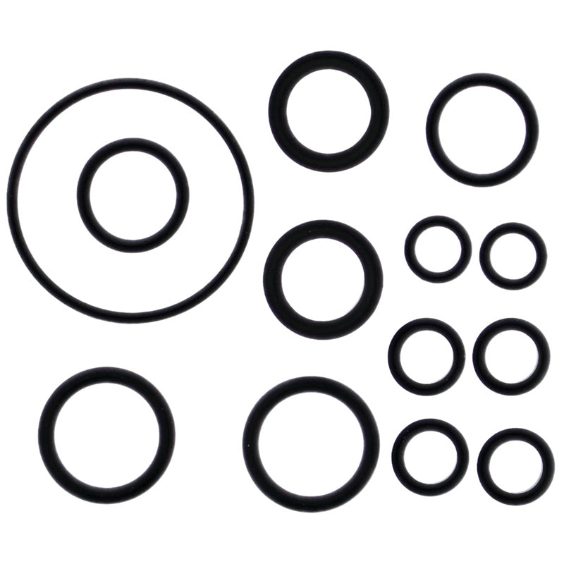 INJECTOR O-RING A.CAT EXT PANTERA 580 EFI 99-01
