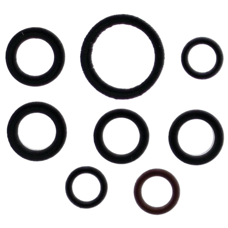 %INJECTOR O-RING POLARIS 500 EFI 93-97