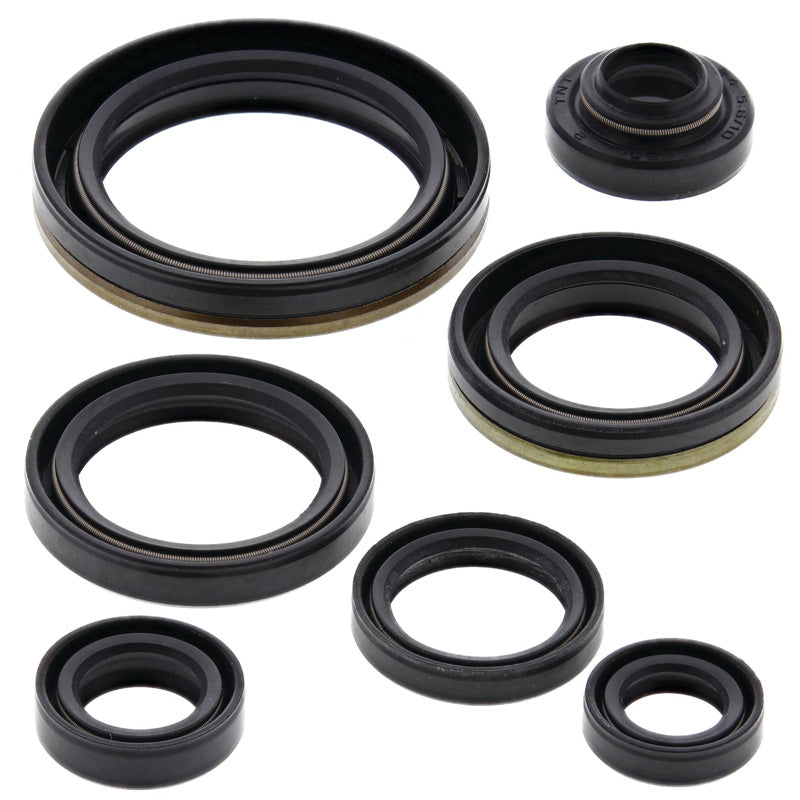 OIL SEAL KIT RM250 96-02