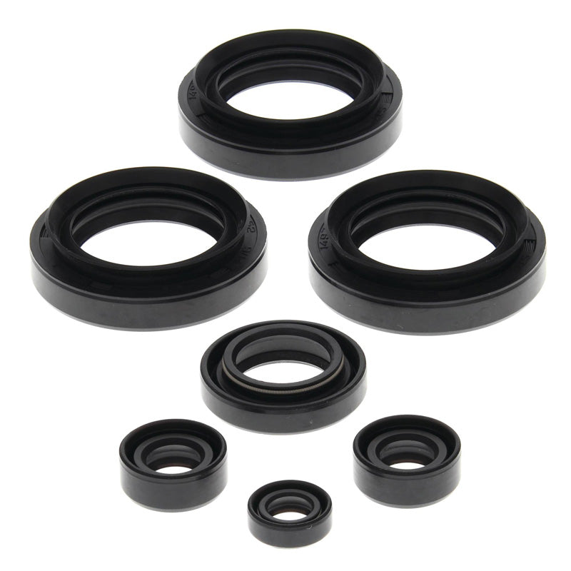 OIL SEAL KIT A.C. 250/300 ALL 2X44X4 98-05